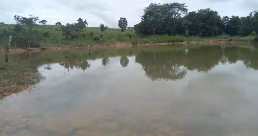 Fazenda com 3 salas à venda na Avenida Central, 6, Jardim Nova Esperança, Goiânia