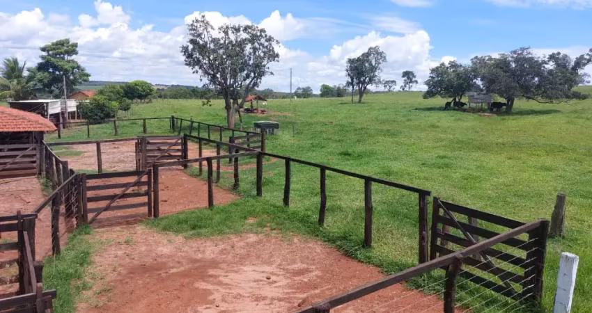 Fazenda com 3 salas à venda na Avenida Dorival de Carvalho, 2, Centro, Jataí