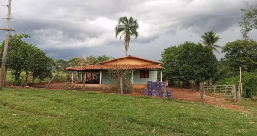 Fazenda com 3 salas à venda na Praça Doutor Pedro Ludovico Teixeira, 5, Setor Central, Goiânia