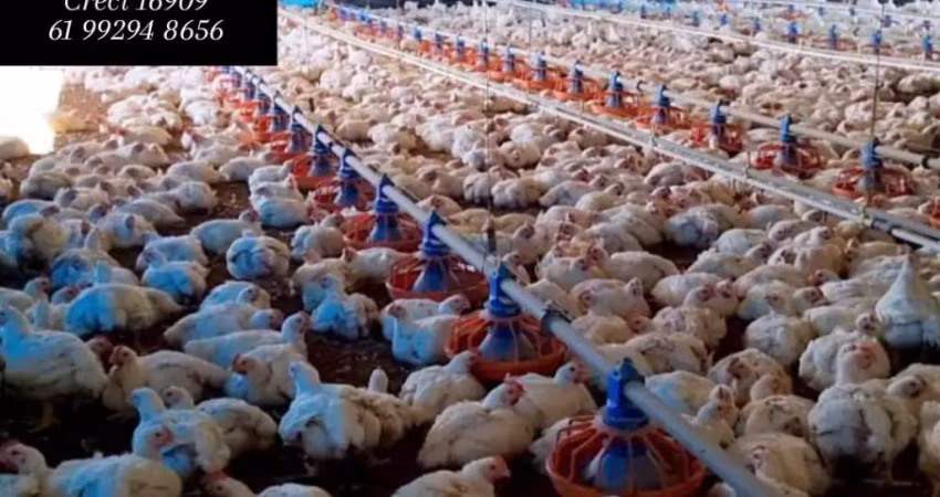 Fazenda com 3 salas à venda na Núcleo Rural Incra 6, 2, Brazlândia, Brasília