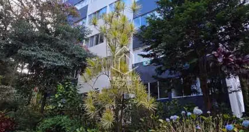 Apartamento com 3 quartos à venda na Rua Manoel Eufrásio, 650, Juvevê, Curitiba