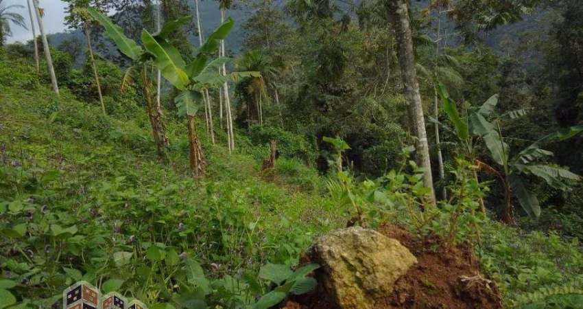 Terreno à venda em Ubatumirim, Ubatuba 