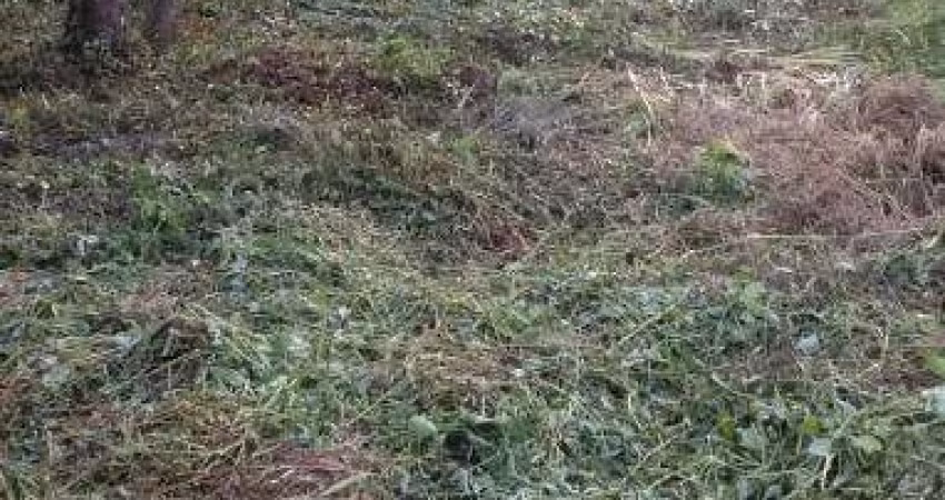 Terreno à venda em Ubatumirim, Ubatuba 