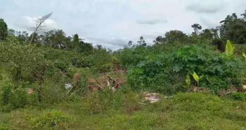 Terreno à venda no Balneário dos Golfinhos, Caraguatatuba 