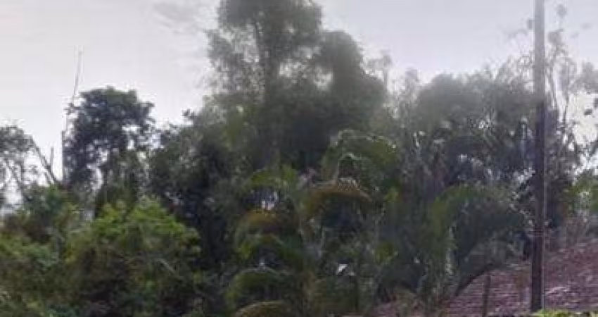 Terreno à venda no Massaguaçu, Caraguatatuba 