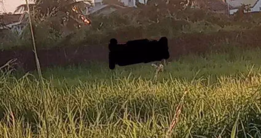Terreno à venda na Praia das Palmeiras, Caraguatatuba 
