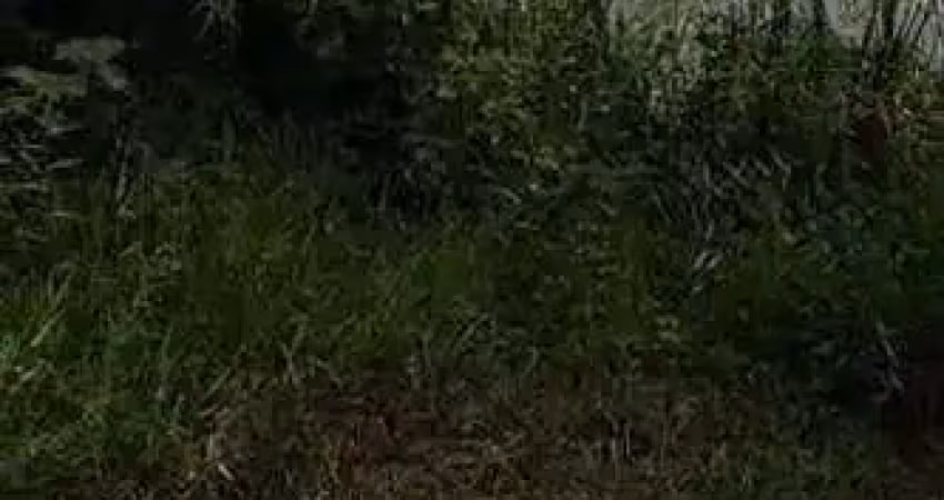 Terreno à venda no Balneário dos Golfinhos, Caraguatatuba 