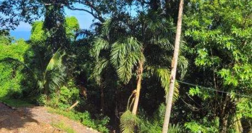 Terreno à venda no Feiticeira, Ilhabela 