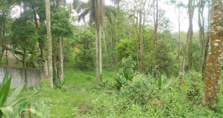 Terreno à venda, 2897 m² por R$ 530.000,00 - Lagoa - Vargem Grande Paulista/SP