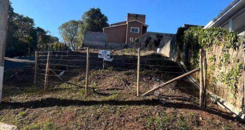 Terreno à venda, 534 m² por R$ 361.000,00 - Parque São Paulo - Cotia/SP