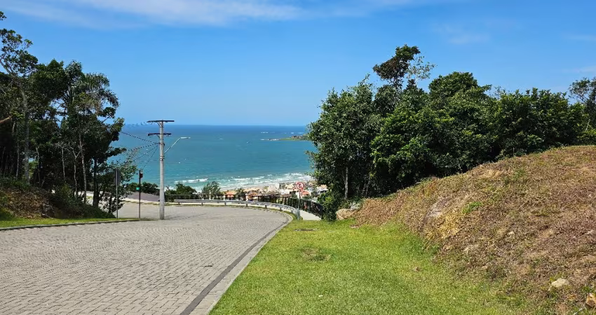 Oportunidade em meia a natureza