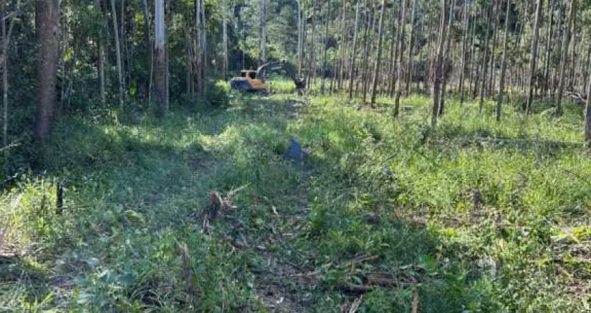 Chácara / sítio à venda na Estrada Geral do Rio do Meio, Rio do Meio, Itajaí