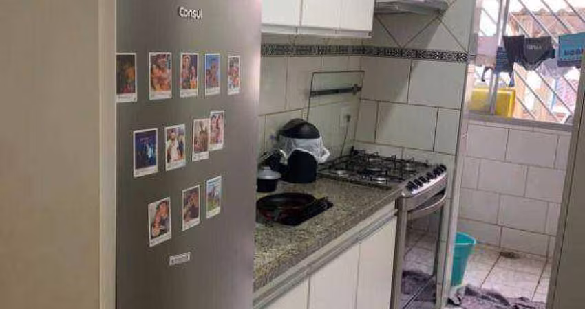 Apartamento com 2 dormitórios, 65 m² - venda por R$ 220.000,00 ou aluguel por R$ 1.419,42/mês - Residencial Macedo Teles I - São José do Rio Preto/SP