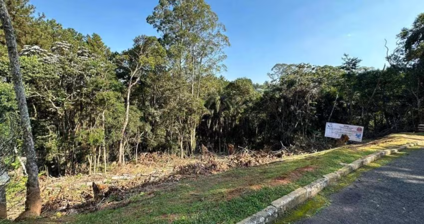 Terreno à venda, 729 m² por R$ 949.000,00 - Novo Horizonte Hills I E II - Arujá/SP