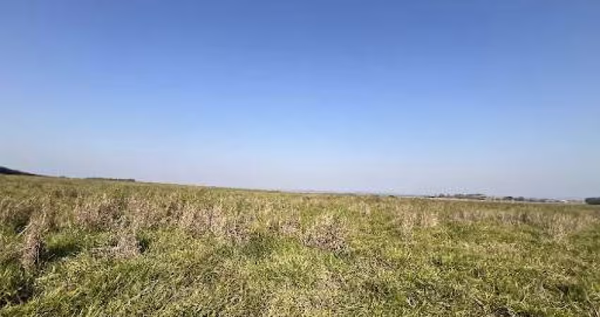 Fazenda com 1 dormitório à venda, 2117500 m² por R$ 13.125.000,00 - Centro - Bofete/SP