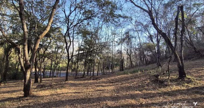 Terreno Reservado com Integração Total à Natureza – Aldeia do Vale