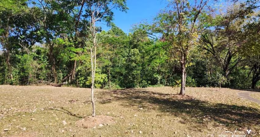 Terreno Exclusivo à Venda no Aldeia do Vale – Lateral de Vale com Integração Total à Mata