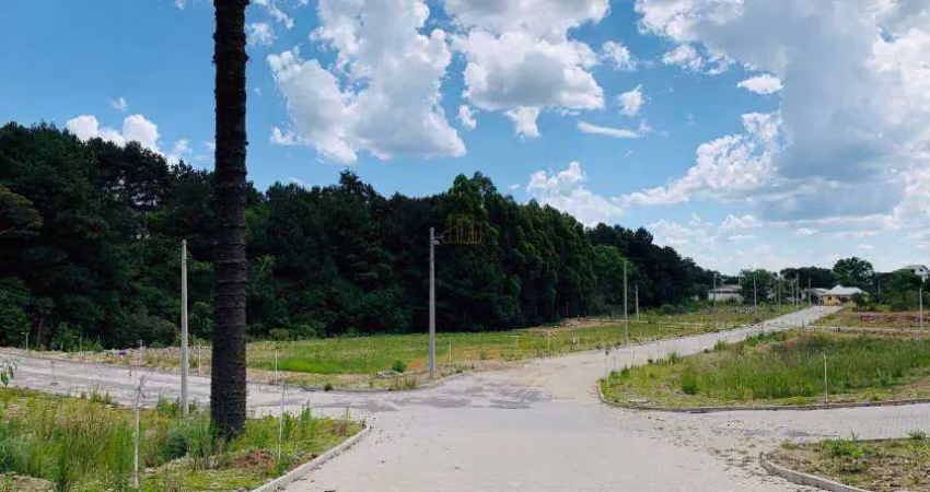 Terreno à venda na Alameda da Colina, 40F, Brasilia, Garibaldi
