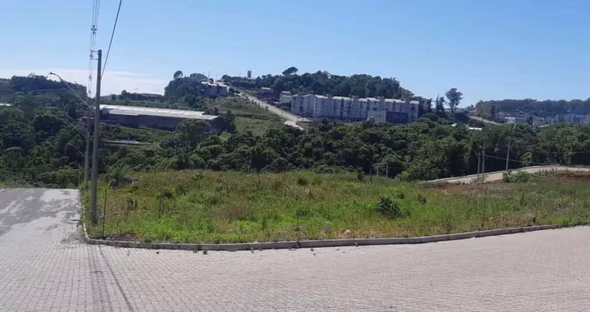 Terreno à venda na Avenida São Roque, São Roque, Bento Gonçalves