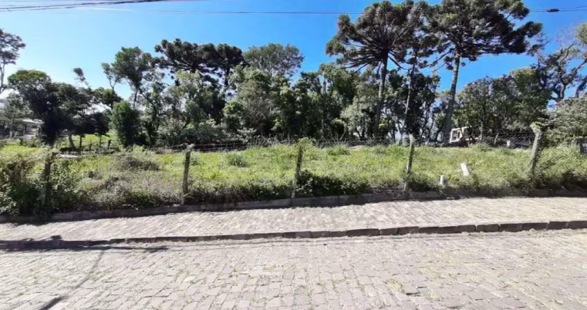 Terreno à venda na Rua Ernesto Alves, Juventude, Garibaldi