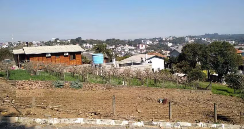 Terreno à venda na Rua Gaspar Martins, ---, Ferroviário, Garibaldi