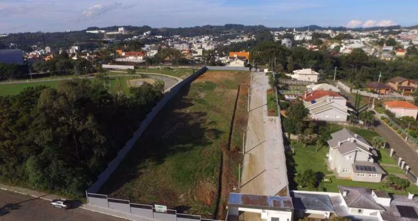 Terreno à venda, Peterlongo - Garibaldi/RS