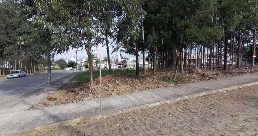 Terreno à venda, universitário - bento gonçalves/rs
