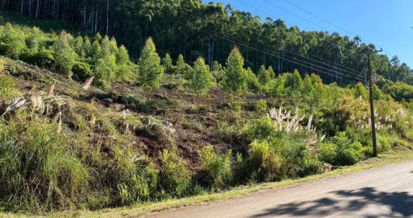 Terreno à venda na Linha Wilmsen, Zona Rural, Barão