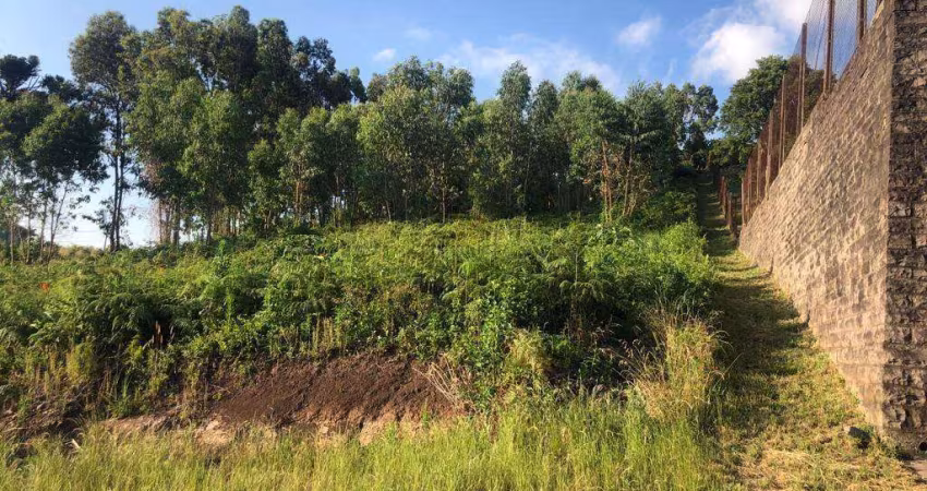 Terreno à venda, Chácaras - Garibaldi/RS