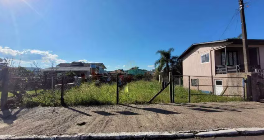 Terreno à venda na José Raimundo Carlotto, 741, Vila Nova, Carlos Barbosa