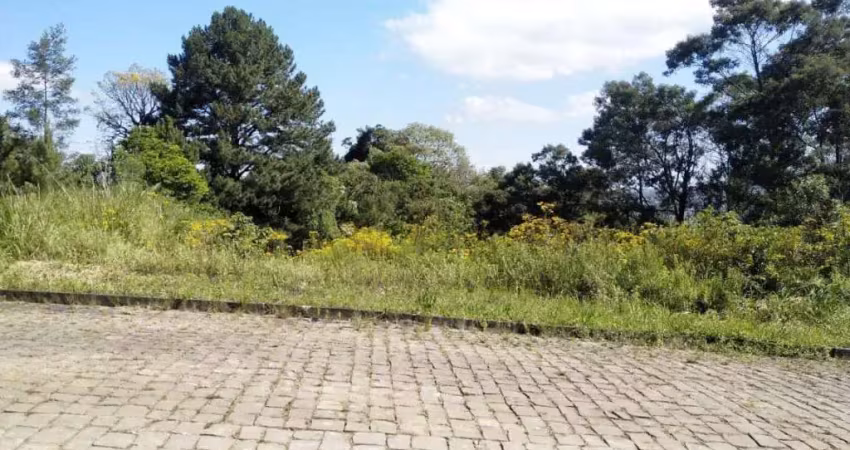 Terreno à venda na Rua Projetada A, 17, Borghetto, Garibaldi