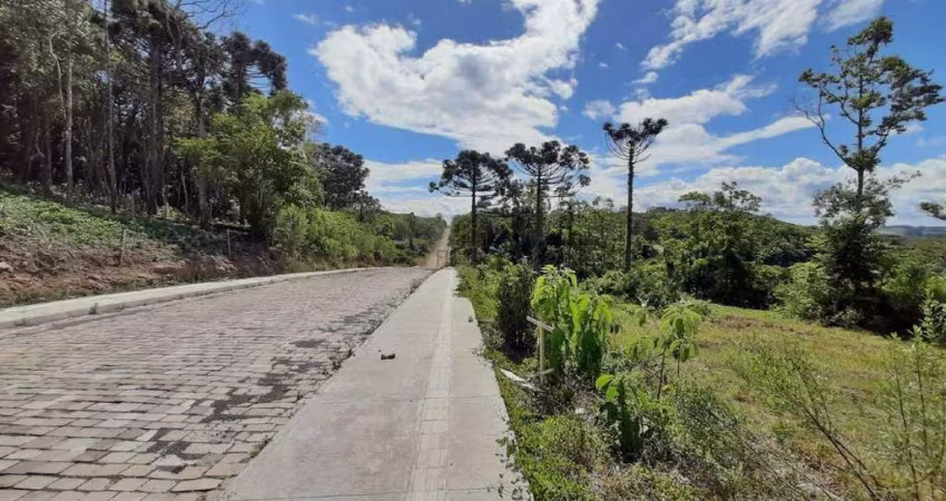 Terreno à venda, Chácaras - Garibaldi/RS