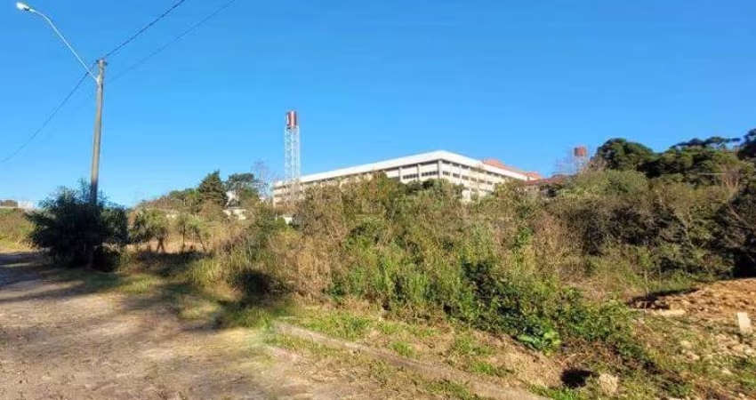 Terreno à venda, São Paulo - Carlos Barbosa/RS