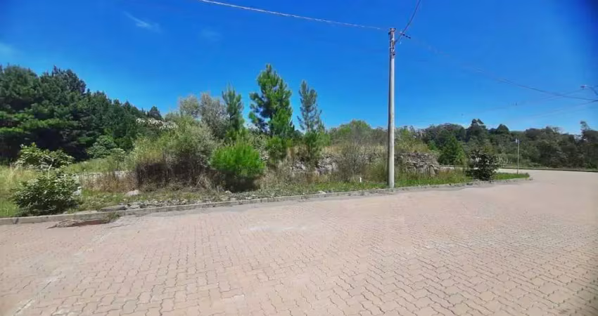 Terreno à venda na Loteamento Nona Regina, 113, Alfândega, Garibaldi