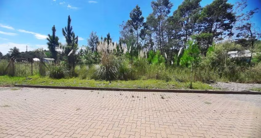 Terreno em Garibaldi/RS - Bairro Alfândega