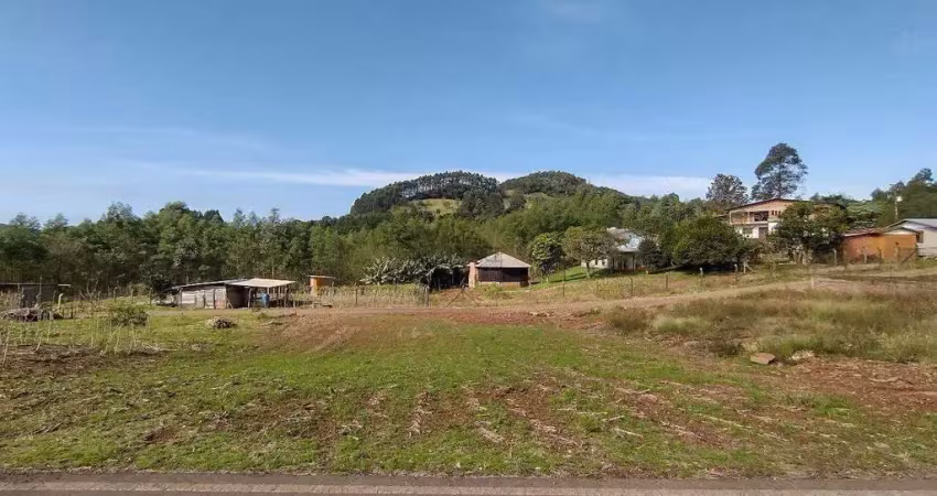 Terreno à venda na Avenida Pedro Chies, 01, Centro, São Pedro da Serra