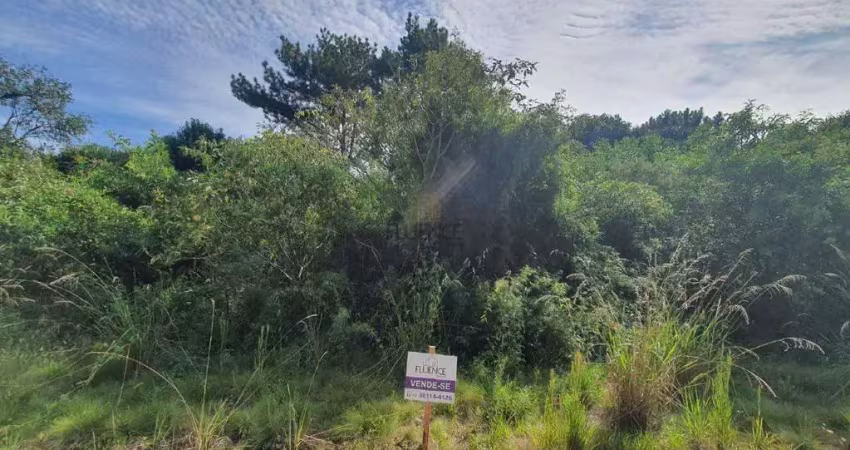 Lindo terreno no santo antão lote 135 loteamento reserva das araucárias