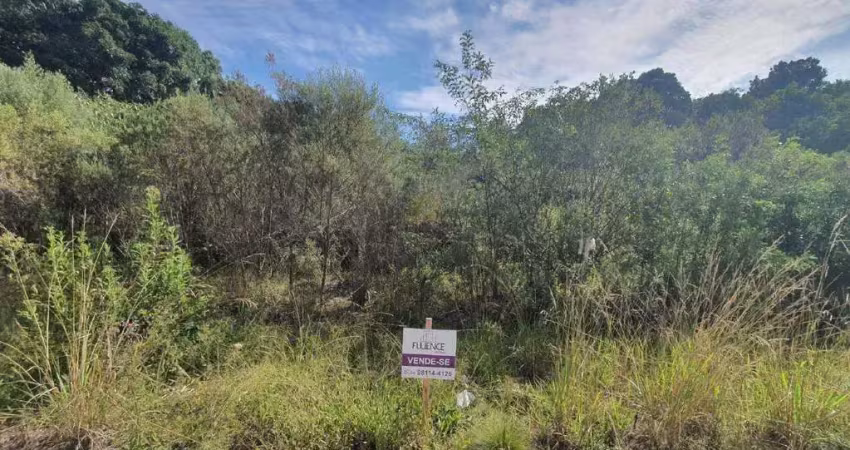 Lindo terreno lote 86 loteamento reserva das araucárias