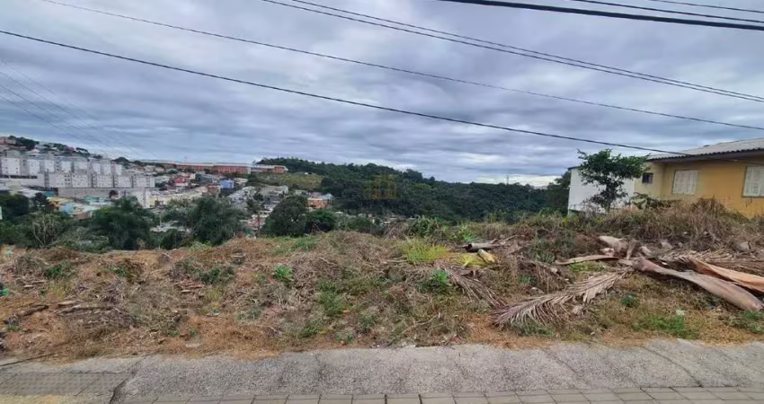 Terreno à venda na Rua Ângelo Marcon, São Roque, Bento Gonçalves