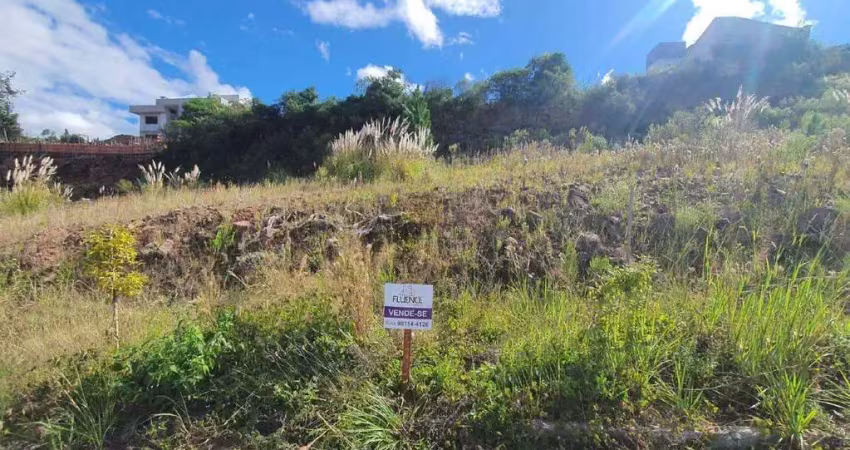 Terreno à venda na Rua Pedro Koff, 00, Santa Helena, Bento Gonçalves