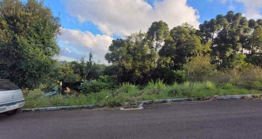 Terreno à venda, Centro - Barão/RS