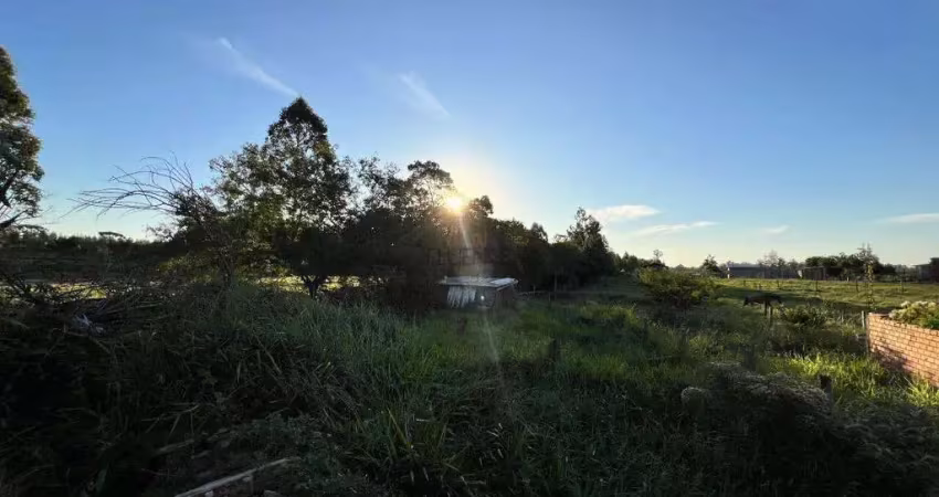 Terreno à venda na Estrada Rua. Nova, 22302, Vendinha, Montenegro