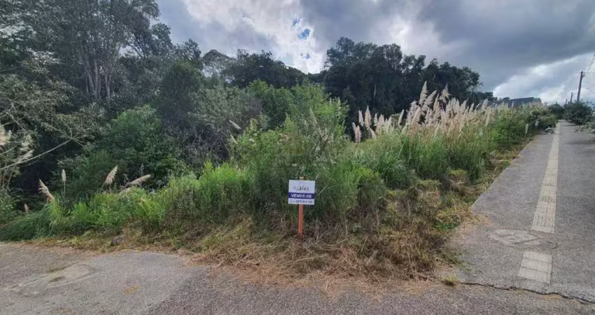 Terreno de esquina no loteamento san marino iv lote 87