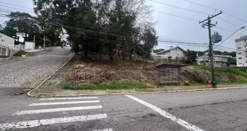Terreno à venda na Alameda Todeschini, 809, Verona, Bento Gonçalves