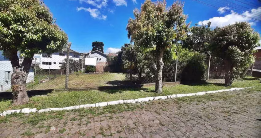 Terreno à venda na Rua Francisco Lanaro, lote 10, Brasilia, Garibaldi