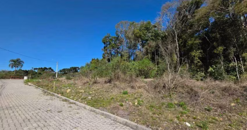 Lindo terreno plano loteamento reserva das araúcarias no santo antão