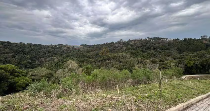 Terreno à venda na Rua Nadir Michelon, São Roque, Bento Gonçalves