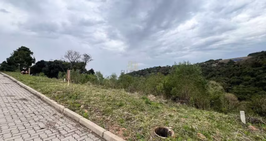 Terreno à venda na Rua João Camerini, 00, São Roque, Bento Gonçalves