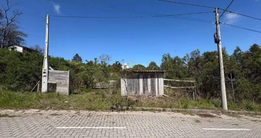 Terreno à venda na Rua Rui Ramos, 500, Vitória, Carlos Barbosa
