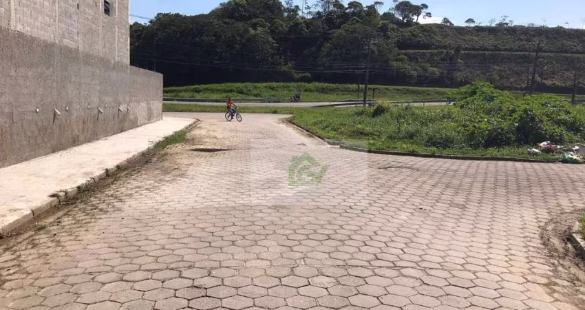 Terreno à venda, 260 m² por R$ 270.000,00 - Jardim Capricórnio - Caraguatatuba/SP